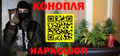 прущие крисы Моздок